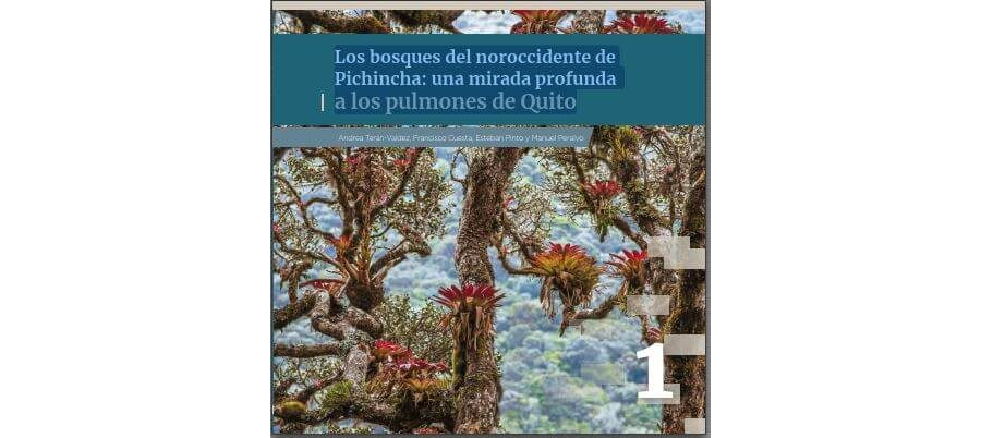 Los bosques del noroccidente de Pichincha: una mirada profunda a los pulmones de Quito