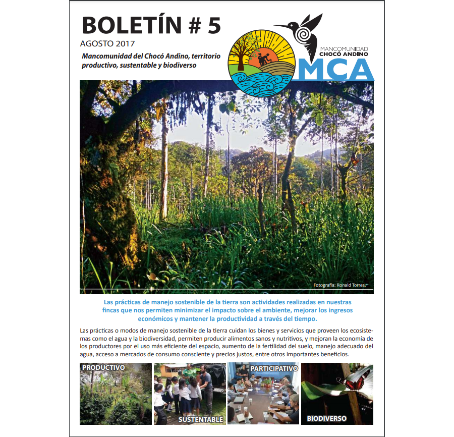 Boletín No 5