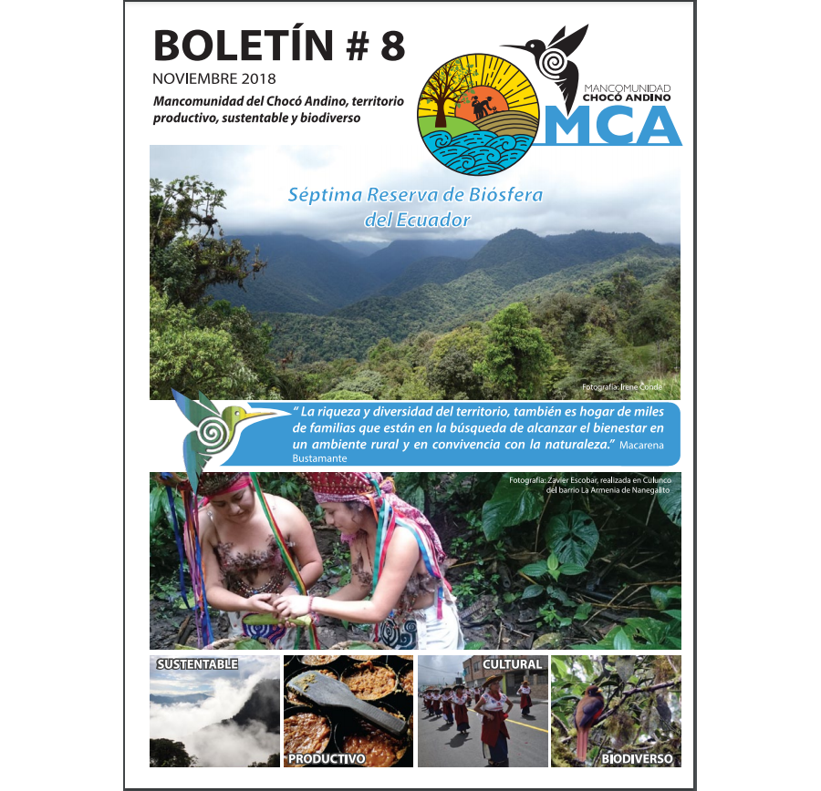 Boletín No 8