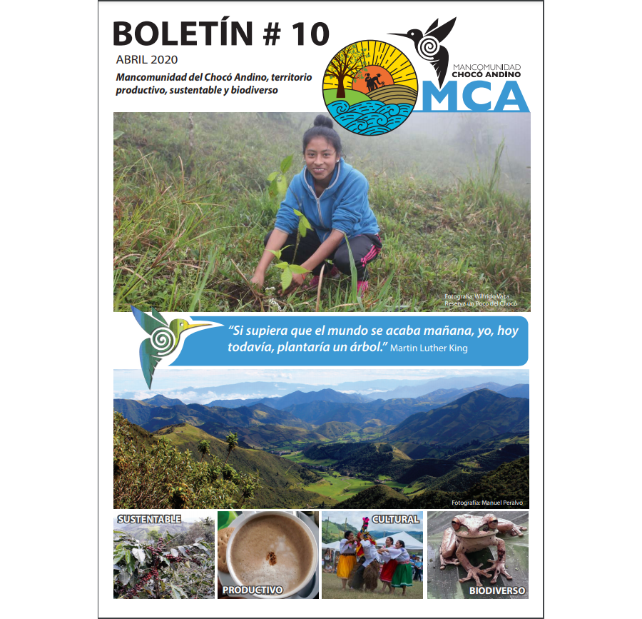 Boletín No 10