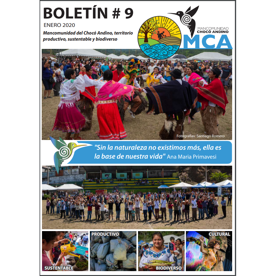Boletín No 9