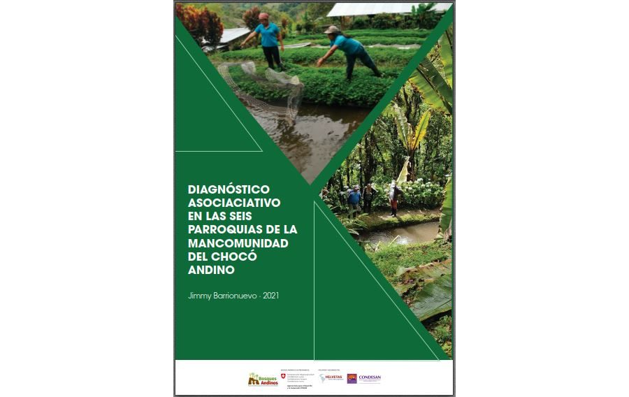 Diagnóstico de Asociaciones