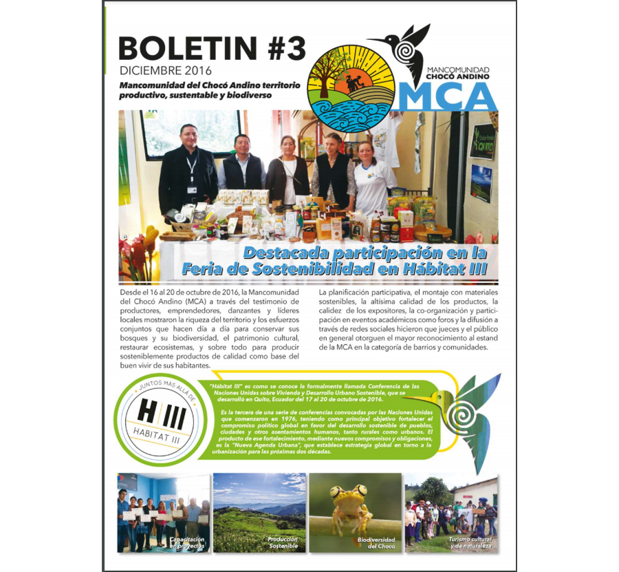 Boletín No 3