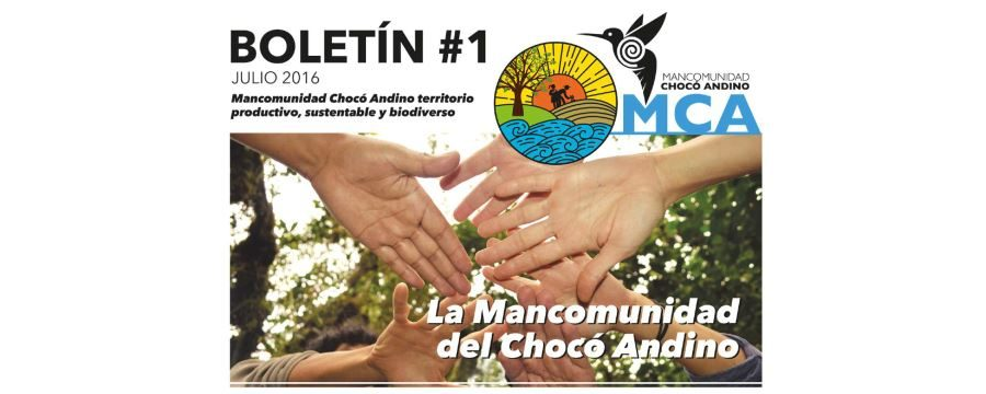 Boletín No 1