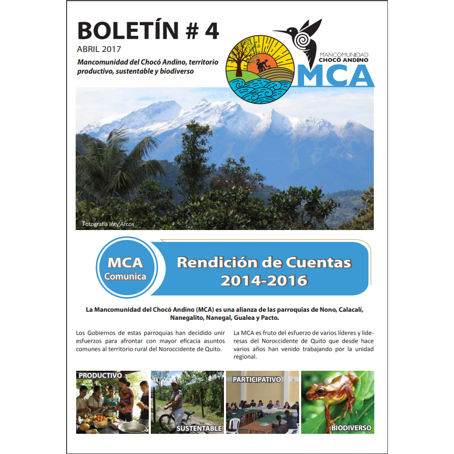 Boletín No 4